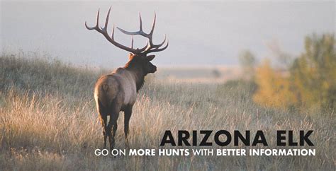 Arizona Elk Hunting, Draw Odds Results and Harvest Data .